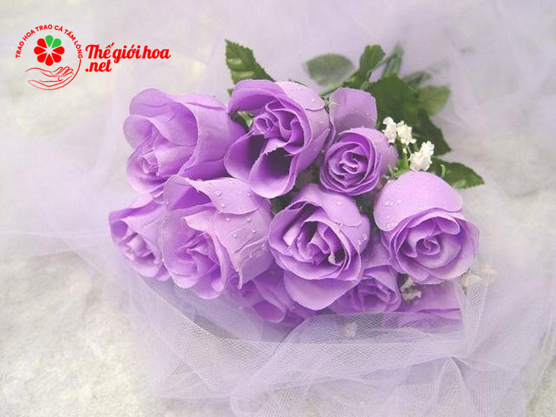 Hoa hồng tím là tình yêu ngọt ngào
